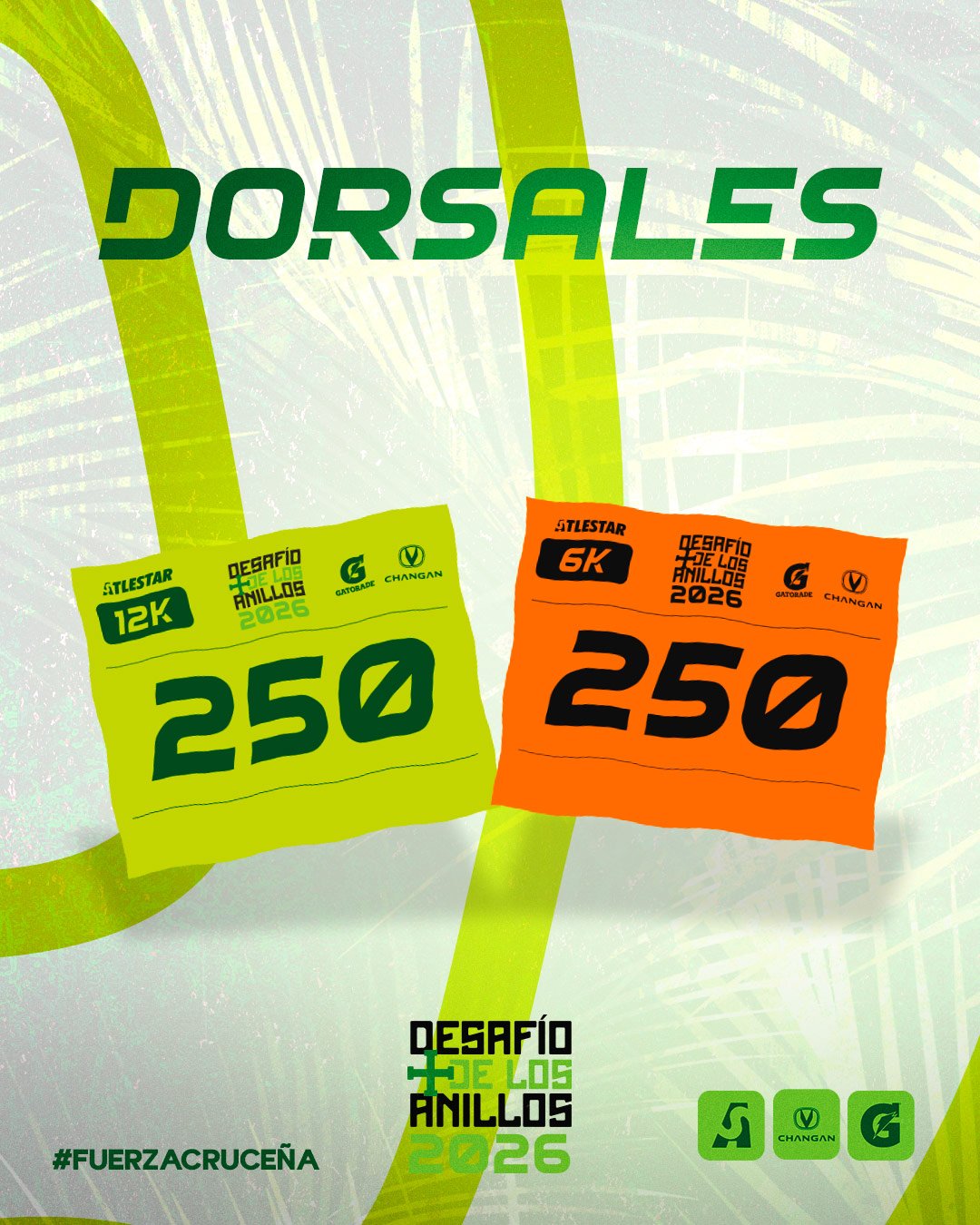 DORSALES (1)